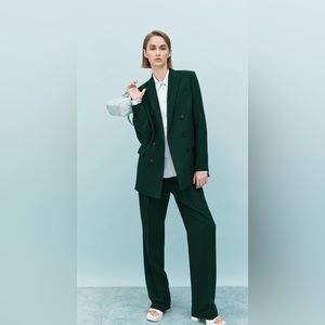 Zara set (blazer and pants)